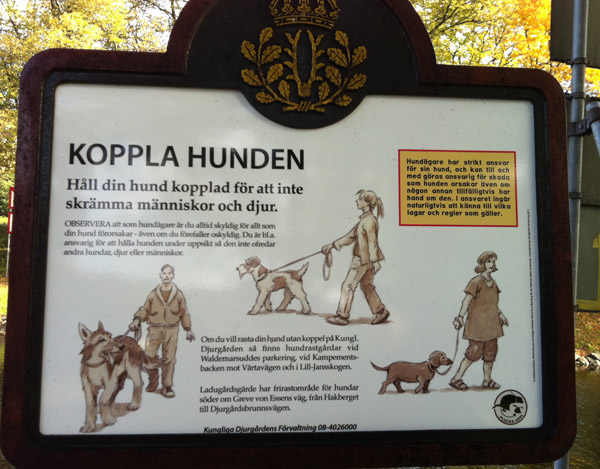 koppla_hunden