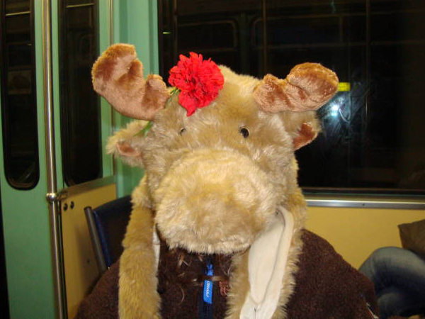 elch-fasnacht